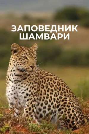 Заповедник Шамвари в hd качестве