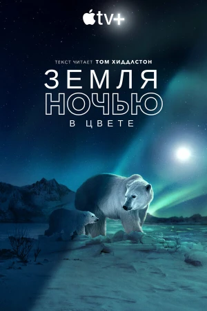 Земля ночью в цвете в hd качестве