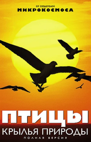 Птицы: Крылья природы в hd качестве