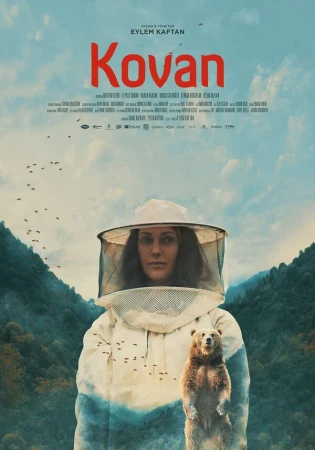 Улей в hd качестве