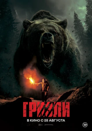 Гризли в hd качестве
