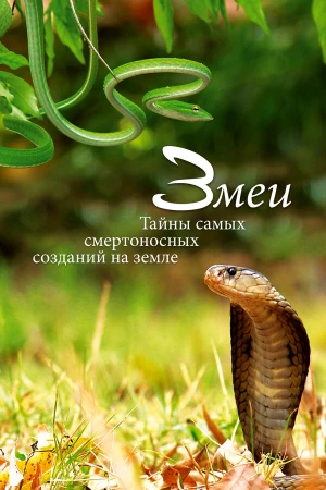 Змеи. Тайны самых смертоносных созданий на земле в hd качестве