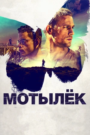 Мотылек в hd качестве