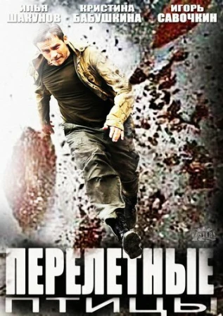 Перелётные птицы в hd качестве