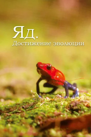 Яд. Достижение эволюции в hd качестве