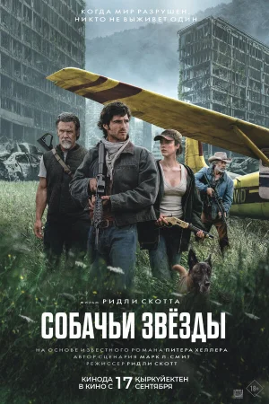 Собачьи звёзды в hd качестве