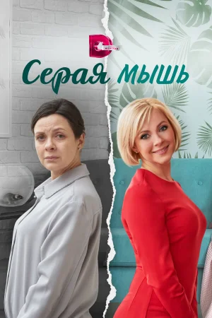 Серая мышь в hd качестве