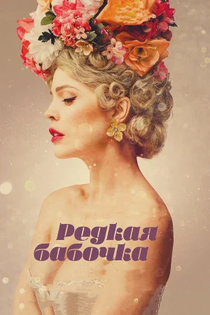 Редкая бабочка в hd качестве