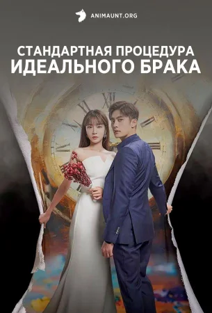 Стандартная процедура идеального брака в hd качестве
