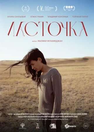 Ласточка в hd качестве