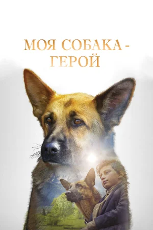 Моя собака — герой в hd качестве