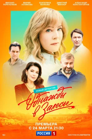 Однажды в Залесье в hd качестве